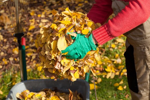 Environmental sustainability in house clearance